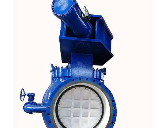 �x��ƫ�İ����y�r(sh��)��(y��ng)ע��ʲô